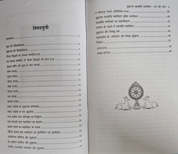 BAUDDH GAYA (SACHITR) + BUDDHGAYA MAHABAUDDHI MAHAVIHAR TAB AUR AB + BAUDDHGAYA ETIHASIK PHESLA + BAUDDHGAYA ATEET SE VARTMAN TAK (COMBO OF 4 BOOKS)